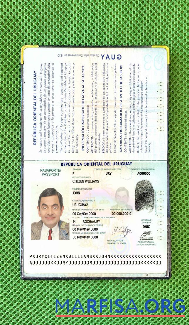 Downloadable Uruguay passport photo look download for verification